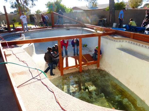 These folks feed their family with a garden in their swimming pool — and you can, too | Grist Old Above Ground Pool Repurpose, Old Inground Pool Repurpose, Old Swimming Pool Repurpose, Old Pool Repurpose, Pool Conversion, Rain Catchment System, Pool Makeover, Empty Pool, Sunken Patio