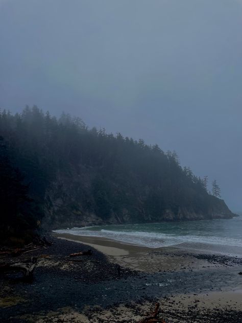 Camdencore Aesthetic, Pacific Northwest Gothic Aesthetic, Oregon Coast Aesthetic, Oregon Forest, Arcadia Bay, Twilight Vibes, Dark Forest Aesthetic, Foggy Day, Life Is Strange