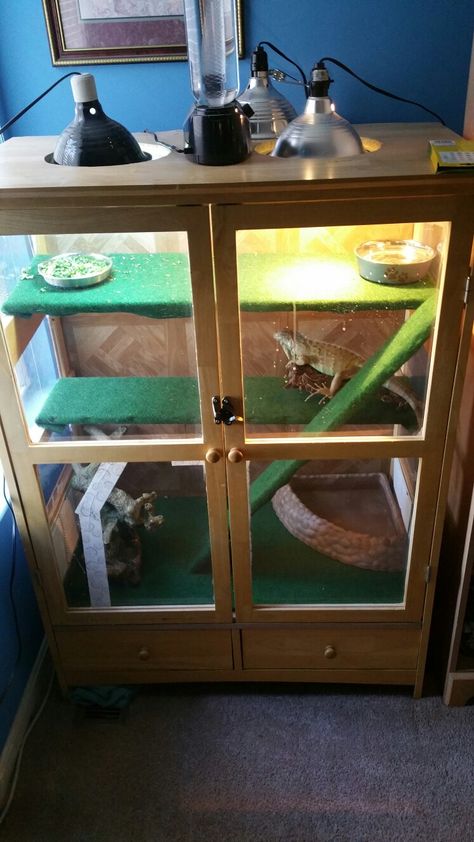 A small cabinet turned into iguana cage. Diy Iguana Enclosure, Iguana Enclosure, Iguana Care, Lizard Cage, Iguana Cage, Bearded Dragon Diy, Bearded Dragon Terrarium, Bearded Dragon Enclosure, Bearded Dragon Cage