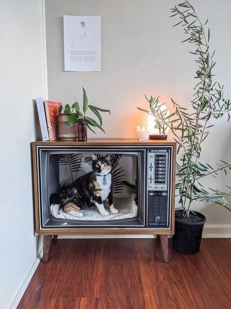 Katt Diy, Katt Grejer, Cozy Cat, Vintage Television, Deco Originale, Cat Room, Old Tv, Cat Diy, Pet Furniture