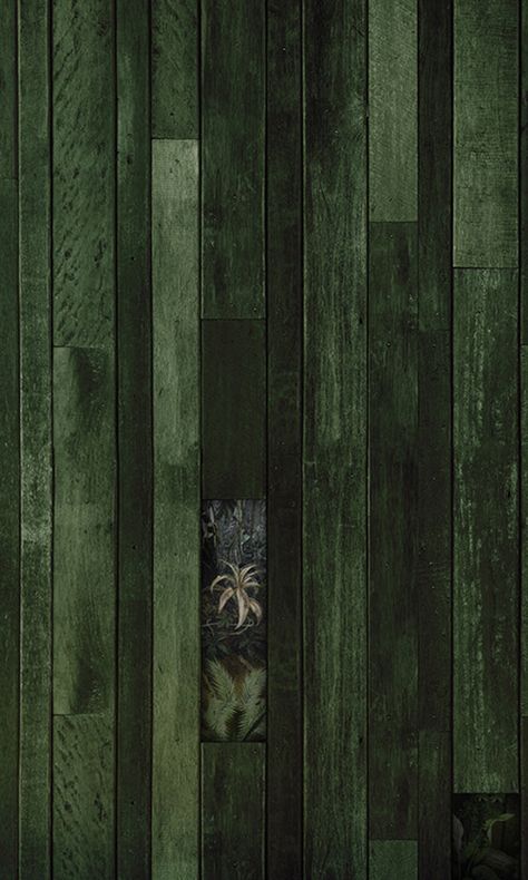 leaves through wood faux mural wallpaper Swamp Mural, Green Wood Texture, Green Textured Wallpaper, Green Stained Wood, Green Wood Stain, Black Wood Texture, Olive Green Wallpaper, Faux Wood Wall, Transitional Wallpaper