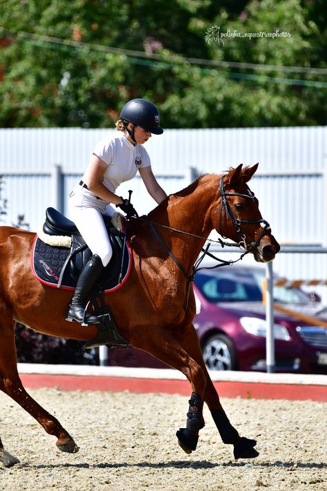 Arabian Horse Riding, Aesthetic Horse, Chestnut Horses, Horse Reining, Quarter Horses, Chestnut Horse, Horse Equestrian, Equestrian Life, Horse Life