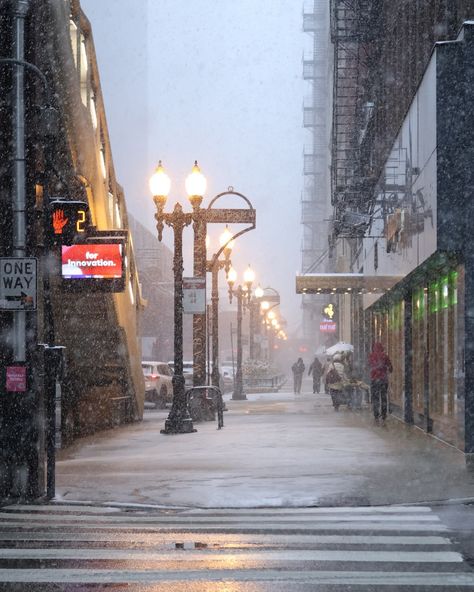 snow in chicago ❄️ Chicago Winter Aesthetic, Snow In Chicago, Chicago In Winter, Chicago Snow, Chicago Winter, Winter Aesthetic, Winter 2024, Brain, Chicago