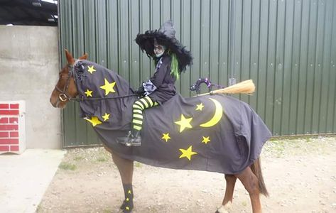 Halloween Horse Costumes, Horse Fancy Dress Costume, Horse Costume Ideas, Homemade Animal Costumes, Horse Halloween Ideas, Horse Fancy Dress, Horse Halloween Costumes, Halloween Horse, Costume Ideas For Halloween