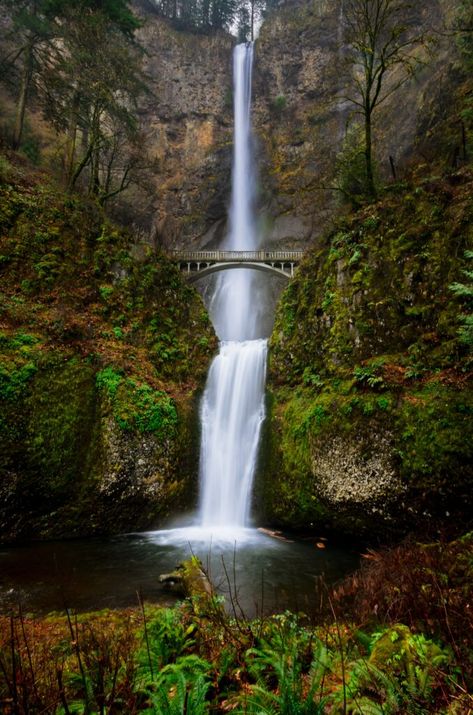 Havasupai Falls, Nature Aesthetics, Cozy Places, Multnomah Falls, Not Again, Vacation Tips, Smoky Mountain National Park, Forest Park, Beautiful Waterfalls