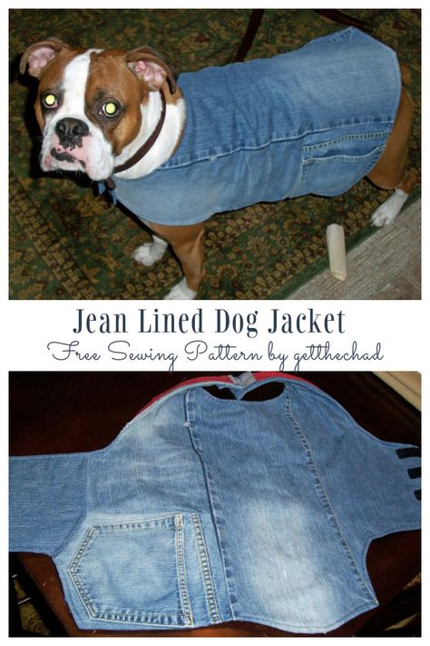 DIY Recycled Jean Dog Coat Free Sew Pattern & Tutorials Dog Jacket Patterns, Dog Clothes Patterns Sewing, Dog Coat Pattern, Dog Sewing Patterns, Dog Clothes Diy, Denim Dog, Free Sewing Patterns, Dog Clothes Patterns, Recycle Jeans