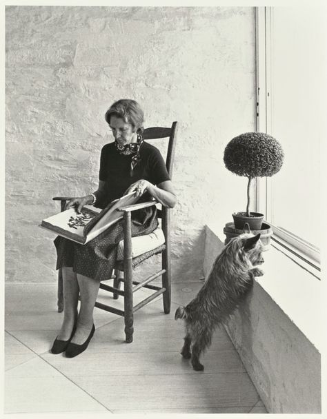 Bunny Mellon looking at botanical book in Oak Spring Farm, Upperville, VA.  I can see myself in this picture, in maybe 20 years, when it's getting more difficult for me to get about in my garden.  But, I'd have a rocking chair, maybe a wicker one :-) . Bunny Mellon, Cristóbal Balenciaga, Fluffy Dogs, Ny Times, Life Is Beautiful, Style Icons, Balenciaga, Best Friends, Reading