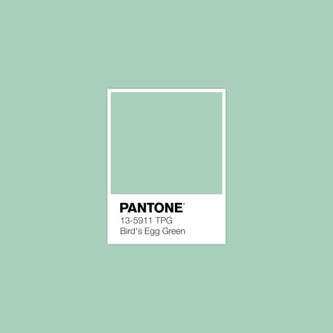 #Birds Egg Blue by #pantone #luxurydotcom Pantone Green, Painting Corner, Color Library, Yellow Pantone, Pantone Swatches, Color Pantone, Yoga Studio Design, Fashion Textiles, Pantone Colors