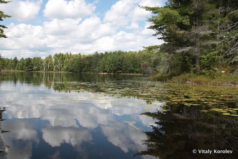 North Rathbun Lake, Kawartha Highlands, Ontario, Canada O Canada, Summer Morning, Pacific Coast, Ontario Canada, Great Photos, The Sky, Ontario, Insurance, My Favorite