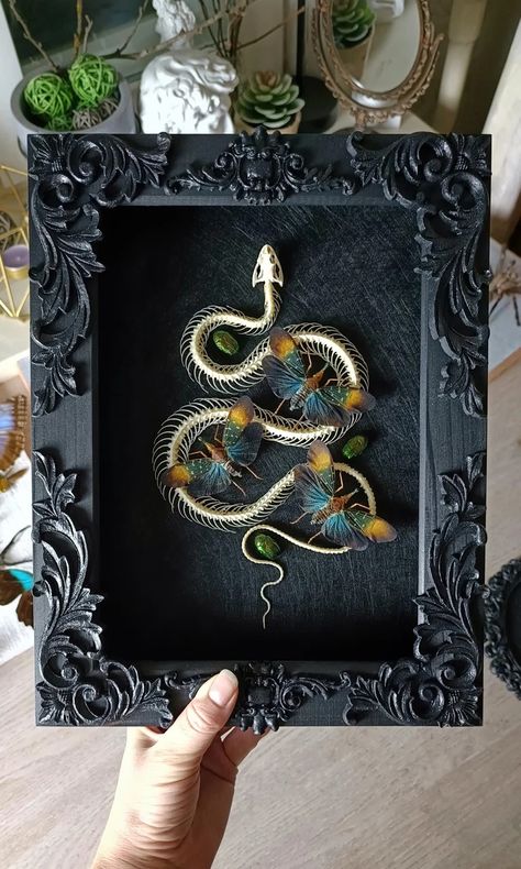 Framed snake skeleton with laternflies and beetles | Tarantulabox Snake Skeleton Art, Butterfly Taxidermy Aesthetic, Butterfly Taxidermy Art, Taxidermy Aesthetic, Butterfly Entomology, Bird Eating, Snake Skeleton, Entomology Art, Butterfly Taxidermy