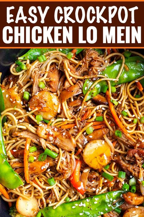 Crockpot Chicken Lo Mein, Easy Crock Pot Chicken, Chicken Lo Mein Recipe, Crockpot Recipes Cheap, Lo Mein Recipe, Crock Pot Pulled Pork Recipe, Pork Chop Recipes Crockpot, Chicken Lo Mein, Lo Mein Recipes