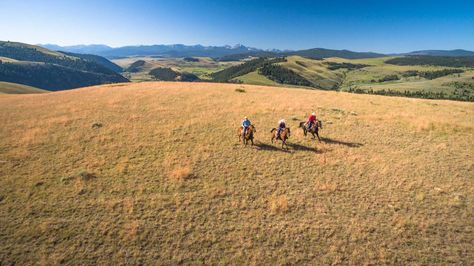 Ranch Vacation, Beautiful Cinematography, Montana Ranch, Canyon Ranch, Colorado Landscape, Vacation Activities, Guest Ranch, Dude Ranch, Virginia Usa