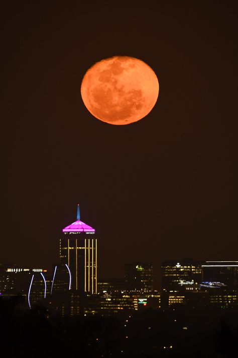 Moonrise over Sandton City #Kruger2Kalahari #cityscapes #sandton #moonrise #moonscape #nikon_photography #sigmaphoto_sa #citylife #SandtonCity Sandton City, V&a Waterfront, Photo Gear, Practice Makes Perfect, South Africa Travel, Looking Out The Window, Table Mountain, Soccer World, Kruger National Park