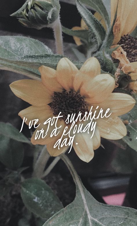 Sunshine Captions, Rainy Day Quotes, Sunshine On A Cloudy Day, Wallpapers Nature, Weather Quotes, Weekday Quotes, Cloudy Weather, Caption Quotes, When It Rains