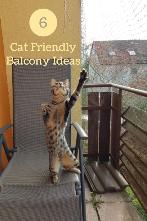 cat friendly balcony Balcony Ideas Cat Friendly, Cat Balcony Ideas Apartments, Balcony For Cats Apartments, Cat Friendly Balcony Ideas, Balcony Cat Ideas, Cat Patio Apartment, Cat Proof Balcony Apartments, Cat Patio Balcony, Renter Friendly Cat Patio