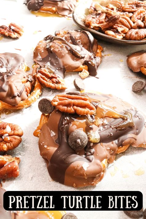 Pretzel Pecan Turtles, Pretzel Caramel Bites, Pretzel Carmel Chocolate Treats, Turtle Bark Recipe, Turtle Bites, Rolo Pretzel Turtles, Turtle Pretzels, Turtle Candies, Pretzel Turtles