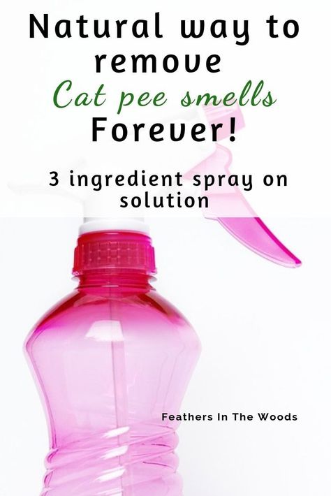 Pet Urine Remover, Cat Pee Smell Removal, Remove Cat Urine Smell, Urine Remover, Cat Urine Remover, Cat Pee Smell, Pet Odor Remover, Smell Remover, Cat Urine Smells