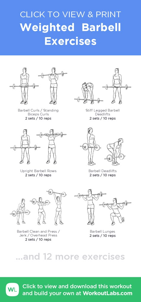 Weighted Barbell Exercises – click to view and print this illustrated exercise plan created with #WorkoutLabsFit Bar Weights Workout For Women, Home Workout Barbell, Workouts With Bar Weights, Upper Body Barbell Workout For Women, Arm Workout With Barbell, Barbell And Dumbbell Workout, Arm Workout Barbell, Women Barbell Workout, Barbell Exercises At Home