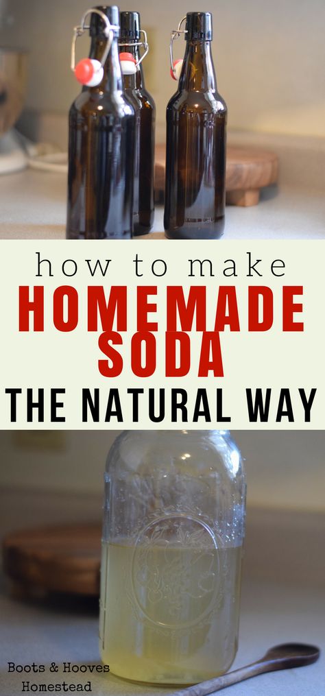 Detox Tea Cleanse, Detox Tea Recipe, Homemade Soda, Tea Cleanse, Homemade Detox, Water Kefir, Soda Recipe, Fermented Drink, Soda Water