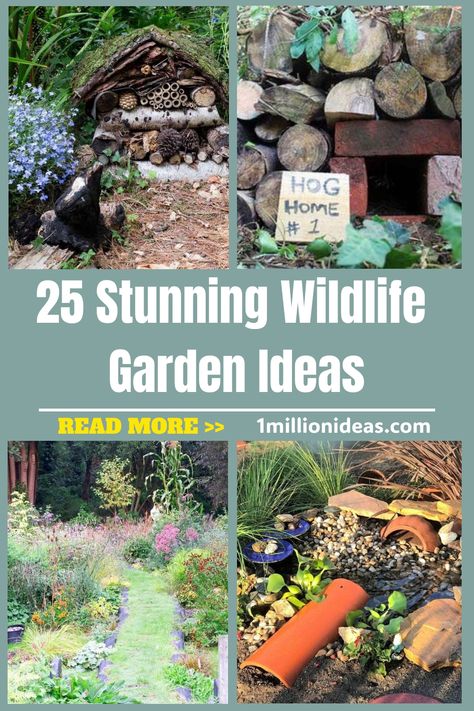 If you love seeing a natural-looking garden, or you’ve got a passion for wildlife and want to attract more to your garden,… Bird Sanctuary Ideas Backyards Gardens, Wildlife Garden Ideas, Wildlife Garden Design, Habitat Garden, Medicinal Herbs Garden, White Flower Arrangements, Wildlife Garden, Meadow Garden, Vertical Garden Diy