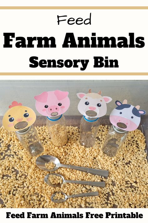 Farm Sensory Bin Ideas for Toddlers and Preschoolers Preschool Farm Sensory Bin, Farm Sensory Activities Preschool, Feed The Farm Animals Sensory Bin, Preschool Farm Sensory Activities, Farm Sensory Bin Toddlers, Edible Farm Sensory Bin, Farm Animal Sensory Bin Preschool, Cow Themed Activities, Farm Animal Crafts For Babies