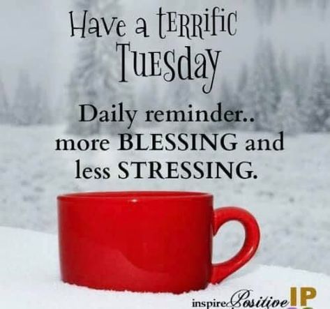 Happy Tuesday! I wish you a stress free day! Terrific Tuesday Quotes Funny, Terrific Tuesday Quotes Good Morning, Terrific Tuesday Quotes, December Tuesday, Have A Blessed Tuesday, Christmas Tuesday, Tuesday Quotes Funny, Good Morning Tuesday Wishes, Have A Terrific Tuesday