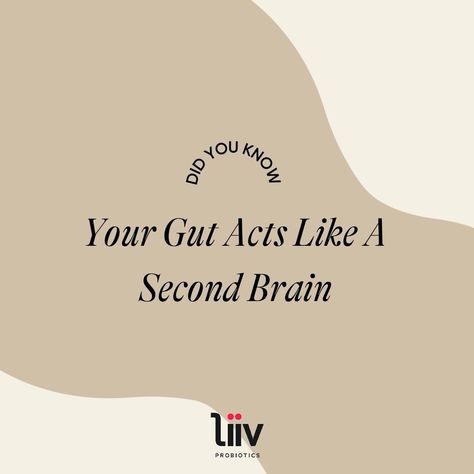 Your gut is equipped with its own nervous system known as the enteric nervous system. Beyond functioning like a second brain, there's also a gut-brain connection, also known as the gut-brain axis. The gut-brain connection refers to the fact that the "brain in our gut" and the brain in our head work in concert to support our overall health. Another example of the gut-brain connection is "butterflies in your stomach." Essentially, your feelings of nervousness or excitement end up triggering a queasy or uneasy feeling in your gut. Liiv now for a healthy tomorrow! Butterflies In Your Stomach, Enteric Nervous System, Second Brain, Brain Connections, Gut Brain, Overall Health, The Brain, Nervous System, Probiotics