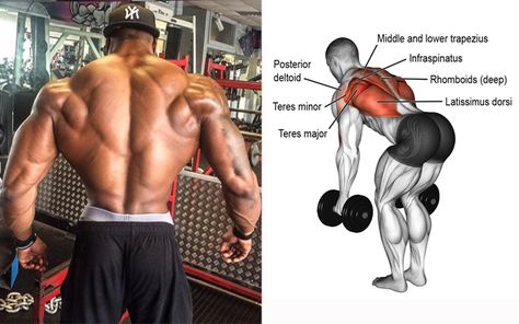 Full Back Workout with Dumbbells Only Back Dumbell Workout Men, Home Back Workout Dumbbells, Dumbell Lat Workout, Dumbbell Only Back Workout, Dumbbell Workout Back, Dumbbell Lat Workout, Back Workout Using Dumbbells, Back Workouts With Dumbbells, Back Workout Men Dumbell