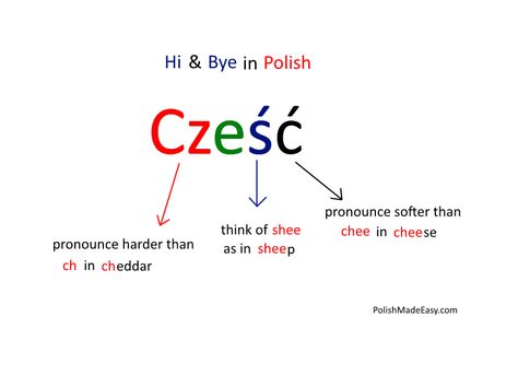 Polish Last Names, Polish Sayings Quotes, Polish Sayings, Polish Phrases, Basic Polish Phrases, Learning Polish, Slavic Languages, Polish Quotes, Learn Polish