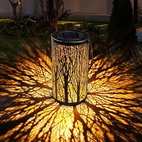 Best Outdoor Solar Lights, Clematis Armandii, Solar Garden Lanterns, Solar Lantern Lights, Solar Lanterns Outdoor, Solar Hanging Lanterns, Solar Powered Lanterns, Led Landscape Lighting, Garden Lanterns