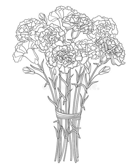 Clove Flower, Carnation Colors, Realistic Flower Tattoo, Flower Bouquet Drawing, Carnation Tattoo, Carnation Bouquet, Bouquet Tattoo, Carnation Flower, Coloring Pages Printable