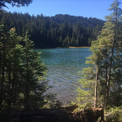 Oregon Home Aesthetic, Oregon Summer Aesthetic, Oregon Countryside, Tobias Rhodes, Lake In The Woods, Oregon Aesthetic, Oregon Lakes, Lake And Forest, All Rhodes Lead Here