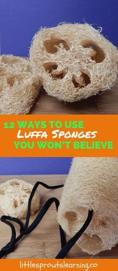 Did you know you can grow your own luffa sponges in your backyard? I thought they came from the ocean until someone gave me a seed. Grow Luffa, Luffa Sponge, Lower High Blood Pressure, Blood Pressure Medicine, Loofah Soap, Loofah Sponge, Health Vitamins, High Blood Sugar, Growing Herbs