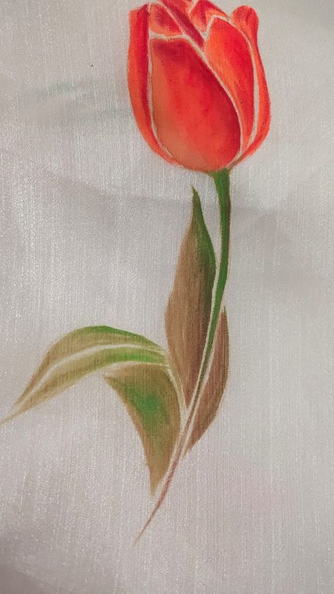 Organza Painting, Madhavi Latha, Tulip Fabric Paint, Painting Dress, Fabric Colour Painting, Painted Saree, Dupatta Designs, Poster Color Painting, Saree Painting Designs