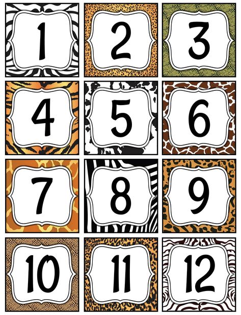 Safari Classroom Decor, Animal Print Classroom, Black And White Calendar, Safari Classroom, Butterflies Classroom, Jungle Activities, Kindergarten Calendar, Primary School Classroom, Abc Chart