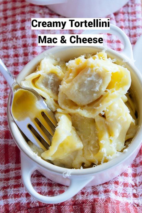 This Creamy Tortellini Mac & Cheese is both super easy and classic comfort food that takes under 30 minutes to make. You simply make a creamy cheese sauce full of flavor that has both parmesan and cheddar cheese in it. Then you add cooked fresh tortellini. Tortellini Mac And Cheese, Mac And Cheese Pasta, Cheesy Mac, Creamy Pasta Bake, Garlic Parmesan Pasta, Creamy Tortellini, Creamy Cheese Sauce, Cheesy Mac And Cheese, Easy Mac And Cheese