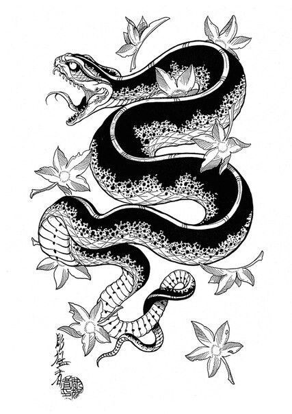 Jack Mosher, Japanese Snake, Japanese Snake Tattoo, Tier Tattoo, Serpent Tattoo, Yakuza Tattoo, Kunst Tattoos, Snake Tattoo Design, Irezumi Tattoos