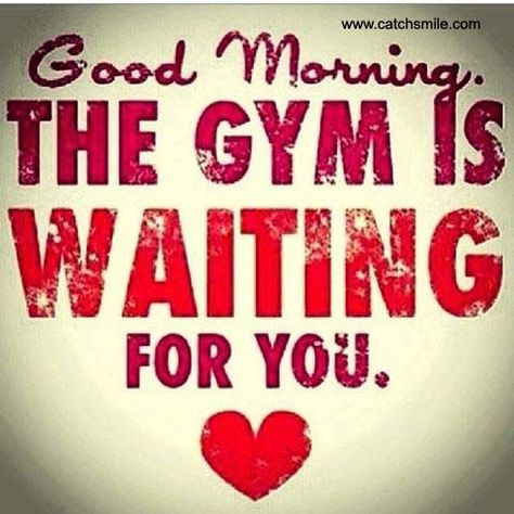 Good Morning The Gym Is Waiting For You morning good morning morning quotes good morning quotes good morning greetings Morning Workout Quotes, Saturday Workout, Morning Gym, Fitness Memes, Workout Quotes, Early Morning Workouts, Gym Quote, Workout Memes, Gym Memes