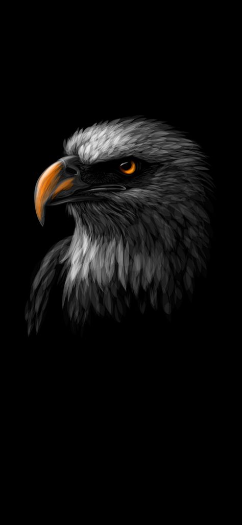 Bald Eagle Wallpaper Iphone, Angry Eagle Wallpaper Hd, Egale Pics Logo, Eagle Wallpaper Hd 1080p, Egal Bird Wallpaper, Eagle Wallpaper Hd, Pbx1 Wallpaper, Silent Wallpaper, Porsche Wallpapers