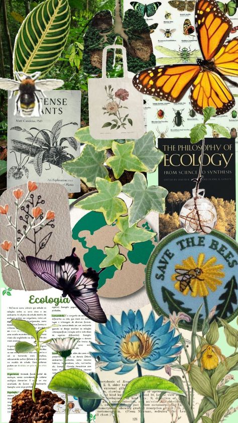 #ecology Environmental Science Art, Enviormentalist Aesthetic, Environmental Science Aesthetic, Ecology Aesthetic, Science Collage, Environmental Lawyer, Plant Adaptations, Environmental Technology, Human Ecology