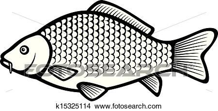 Carp fish (Common carp) View Large Clip Art Graphic Carp Fishing Tips, Fish Outline, Carp Fishing Rigs, Common Carp, Carp Fishing Bait, Carp Fish, Fishing Photos, Fishing Photography, Fishing Pictures