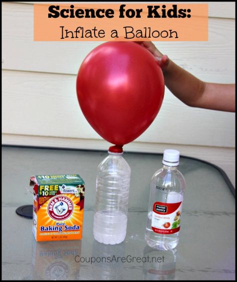 Baking Soda Experiments, Balloon Science Experiments, Science Experiments Kids Preschool, Balloon Experiment, Toddler Science Experiments, Science For Toddlers, Science Crafts, Stem Challenge, Science Party