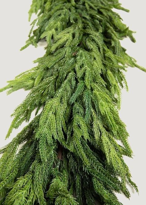 Amazon.com: Afloral Real Touch Deluxe Norfolk Pine Garland - 96" : Home & Kitchen Garland For Table, Norfolk Pine Garland, Hanging Plants Outdoor, Norfolk Pine, Faux Christmas, Winter Greenery, Christmas Garlands, Pine Garland, Christmas Dinner Party