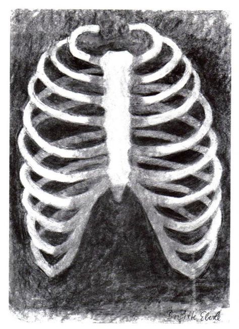 Charcoal drawing of the rib cage Rib Cage Drawing, Drawing Medical, Drawings Techniques, Human Ribs, Male Figure Drawing, 8th Grade Art, Chalkboard Drawings, Sketching Tips, Simple Drawings