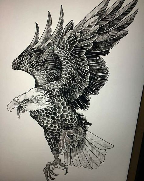 Đại bàng Eagle Tattoo Design, Tattoo Snake, Eagle Drawing, Eagle Tattoos, Disney Tattoo, Eagle Art, Eagle Tattoo, Tattoo Design Ideas, Japan Tattoo