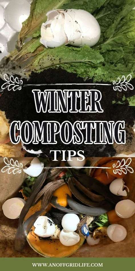 Easy Winter Composting Tips for Year-Round Success - An Off Grid Life Winter Vegetables Gardening, Compost Soil, Kitchen Scraps, Eco Lifestyle, Winter Workout, Garden Compost, Organic Gardening Tips, Composting, Grow Your Own Food