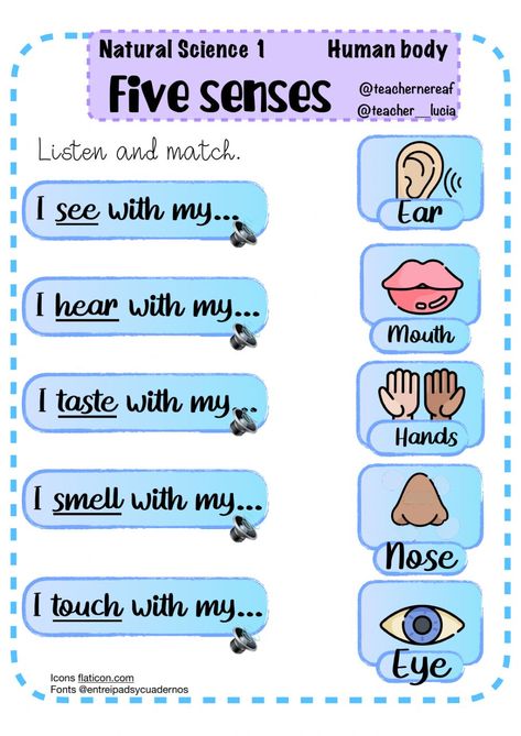 Human body: Five senses - Interactive worksheet My Body Worksheets For Kids, Senses Worksheets For Kids, Human Body Worksheets For Kids, Five Senses Worksheet, Our Five Senses, Five Senses Preschool, Human Senses, Human Body Worksheets, Senses Preschool