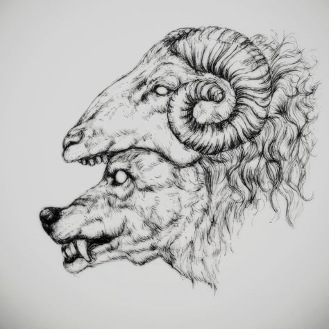 Wolf Sheep, Wolf Tattoo Meaning, Fat Rat, Sheep Tattoo, Draw Music, Sheep Drawing, Black And Grey Tattoo, Surealism Art, Scary Drawings