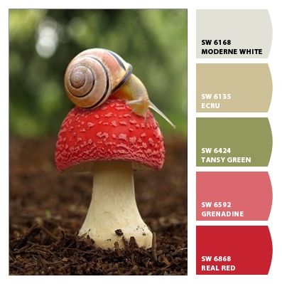 Paint colors from ColorSnap by Sherwin-Williams Mushroom Color Pallete, Color Palette Mushroom, Mushroom Colour Palette, Mushroom Color Palette, Mushroom Kitchen, Mushroom Color, Color Design Inspiration, Hex Color Palette, Red Color Schemes