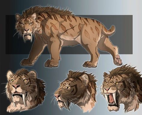 Pin by Mekhikirkwood on Minecraft | Big cats art, Creature concept art, Mythical creatures art Tiger Oc, Pet Anime, Big Cats Art, Paleo Art, Fantasy Beasts, Tiger Art, Fantasy Creatures Art, Mythical Creatures Art, Anime Animals